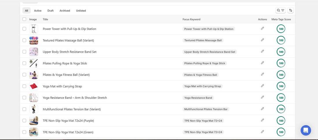 After: FitVelion yoga and Pilates products with focus keywords and meta tags score of 100